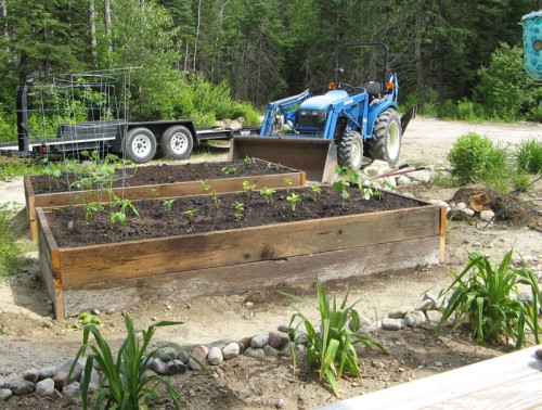 raised vegetable beds