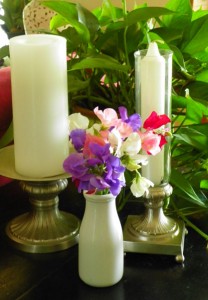 Sweet Peas from Carol's Garden