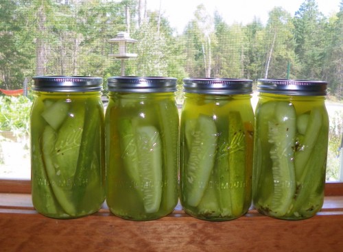 ball kosher dill pickle recipe