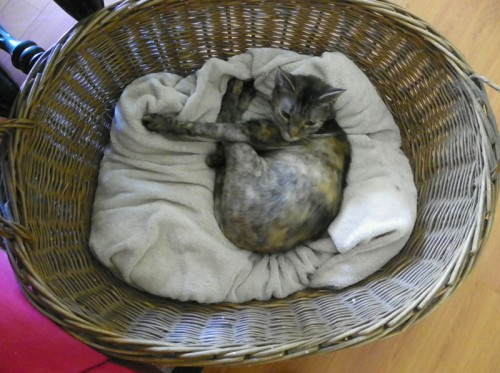 antique laundry basket