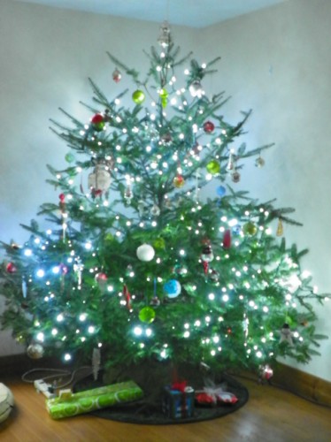 Our decorated Christmas tree!