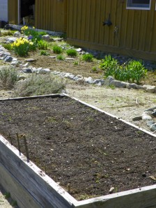 spinach, lettuce, and snowpeas