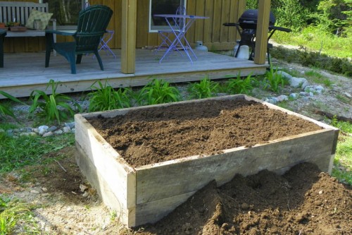 raised bed