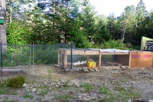 Repurposed Chicken House