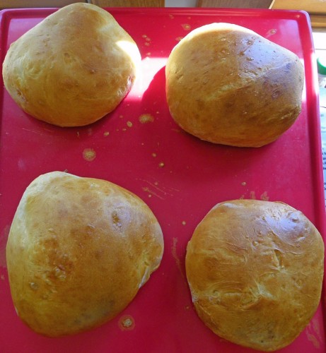 fresh from the oven bread
