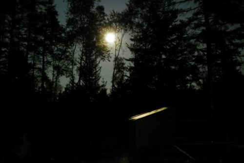 full moon over the chicken coop