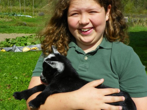 hannah in love with baby lambs