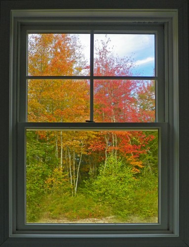 autumn colors from the window