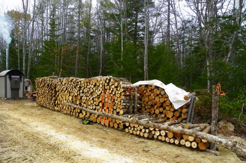 Cutting Wood in the Calm Before the Storm