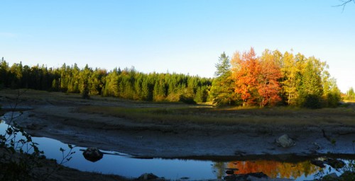 Mill River in the Late Day Sun