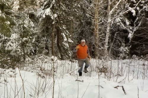 Snowshoeing through the woods