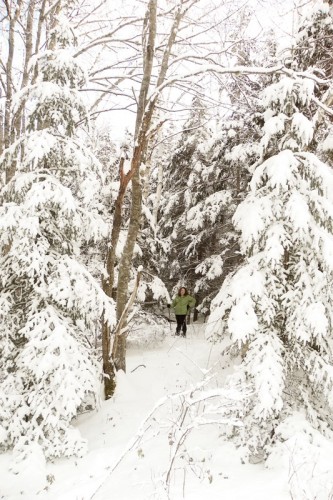 snowshoeing in the woods