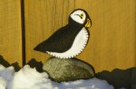  Puffin 