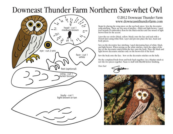 Meet the Tiny Northern Saw-whet Owl | Downeast Thunder Farm