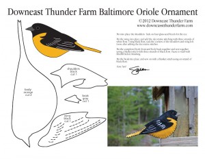 Whistling Baltimore Oriole | Downeast Thunder Farm