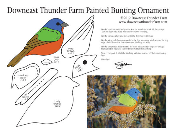 A Lively Painted Bunting | Downeast Thunder Farm