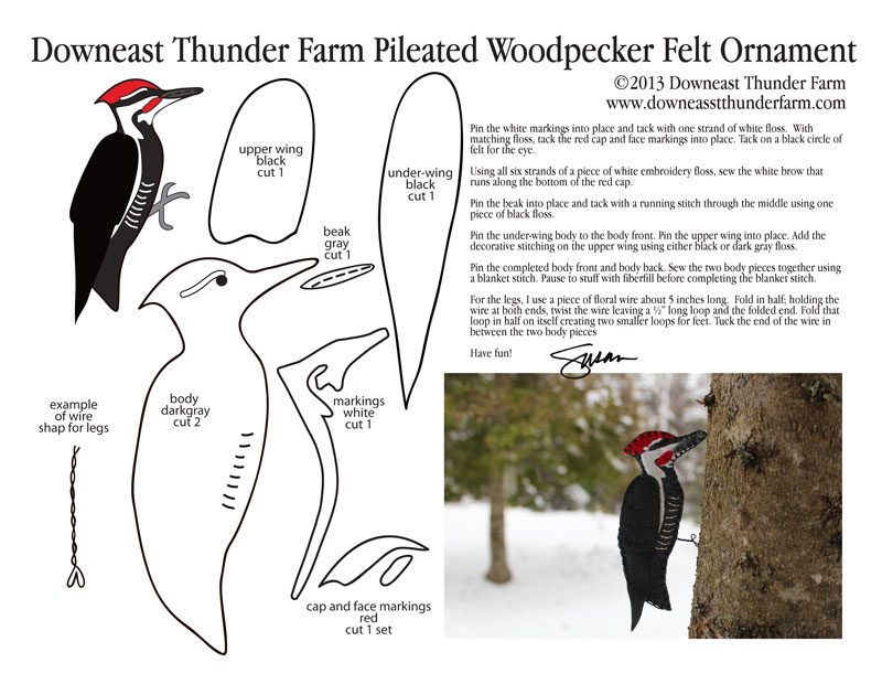 The Iconic Pileated Woodpecker Downeast Thunder Farm