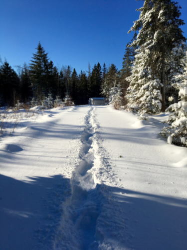 With February Comes Winter | Downeast Thunder Farm
