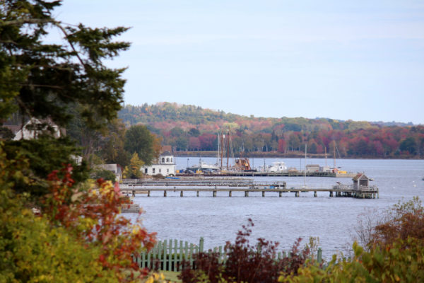 Out and About in Castine | Downeast Thunder Farm