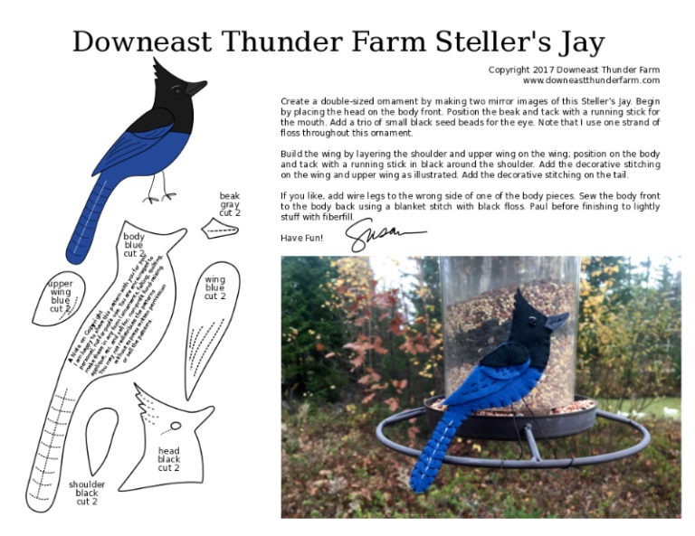 The Striking Stellerâ€™s Jay | Downeast Thunder Farm