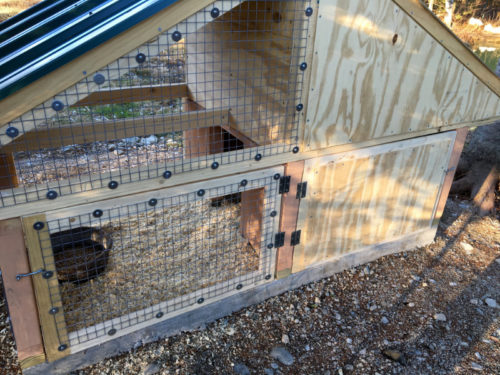 A New Custom Designed House for the Ducks | Downeast Thunder Farm