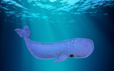 The Wondrous Sperm Whale