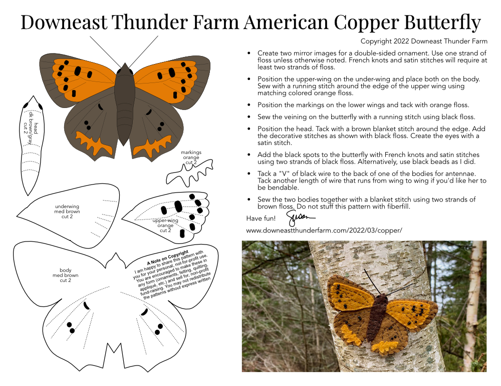 American Copper Butterfly