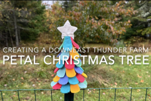 petal Christmas tree video