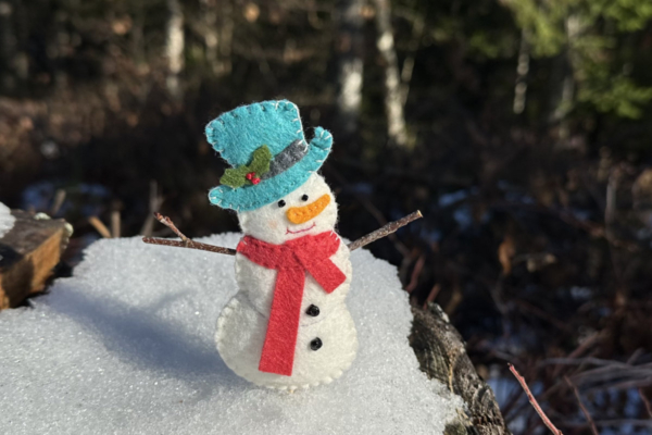 Winter Snowman Free Pattern