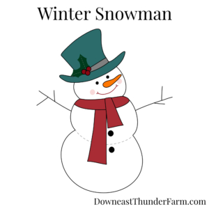 Winter Snowman Felt Kit