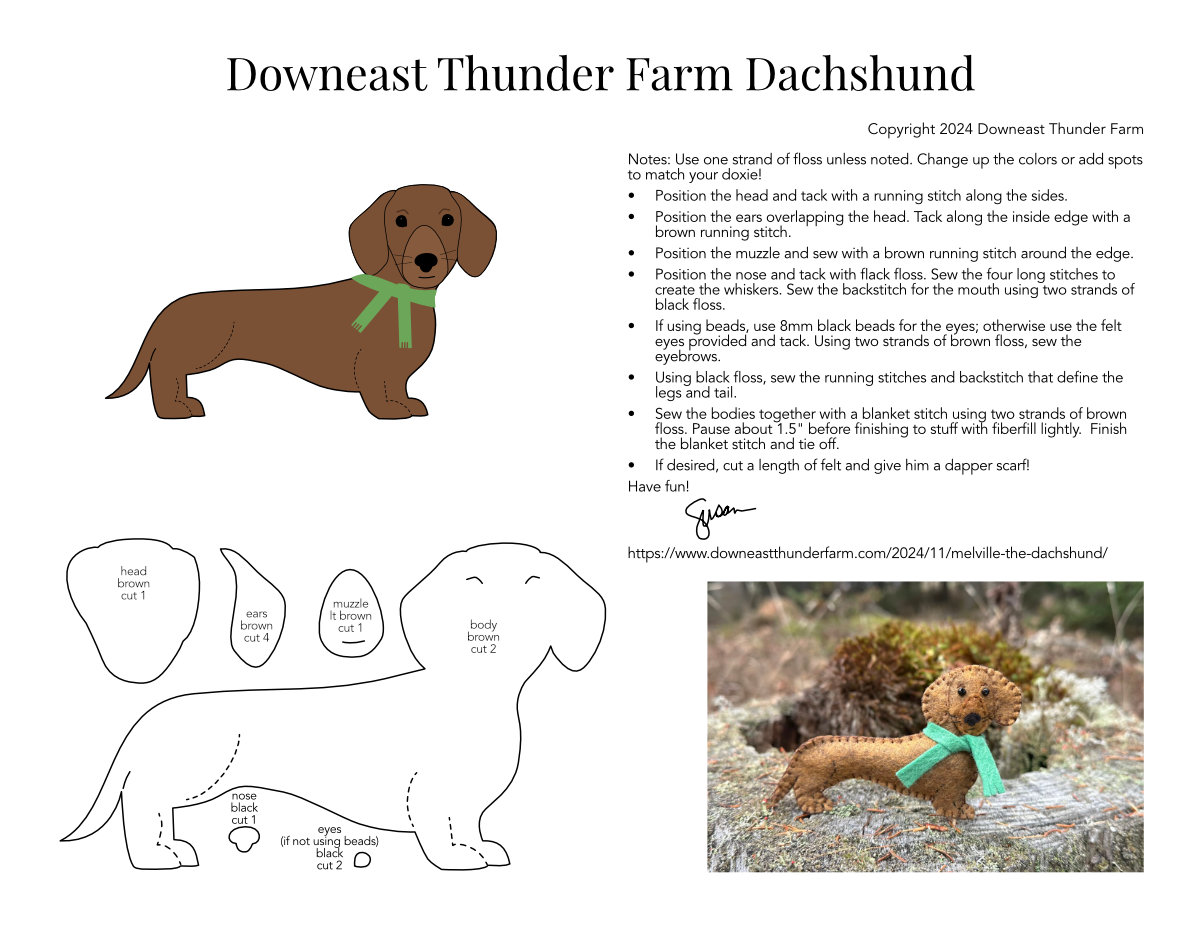 Dachshund