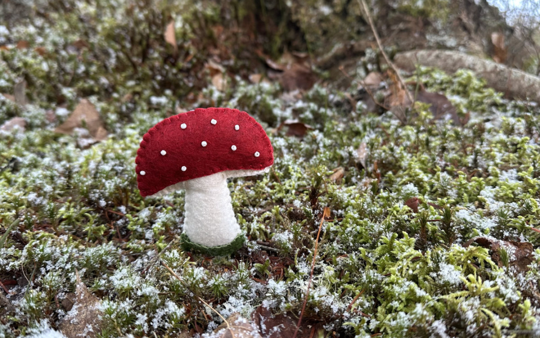 Downeast Thunder Farm Red-Capped Mushroom