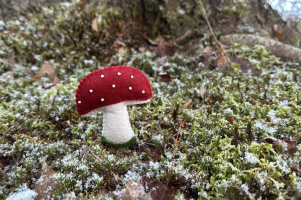 free felt red-capped mushroom pattern