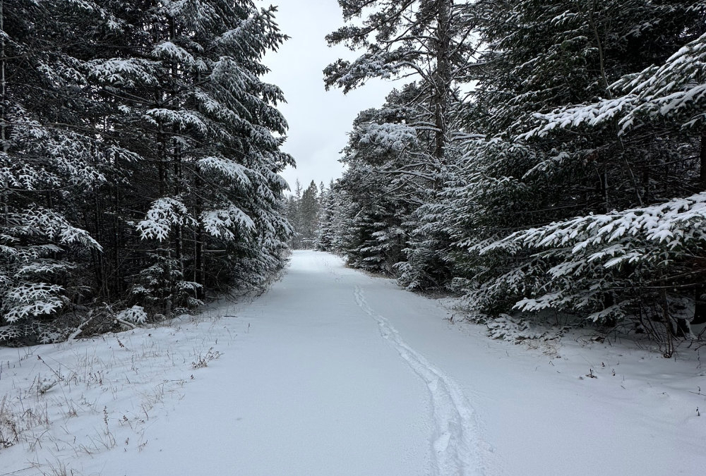 A Snowy Winter Solstice