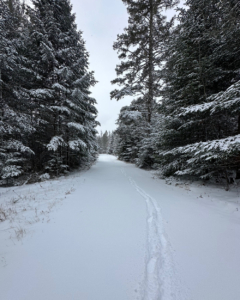 our driveway - it's a long one