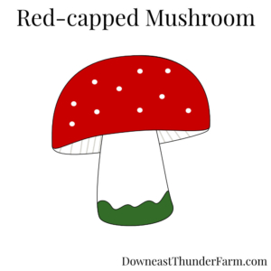 felt red-capped mushroom