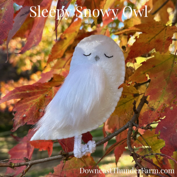 Sleepy Snowy Owl Kit