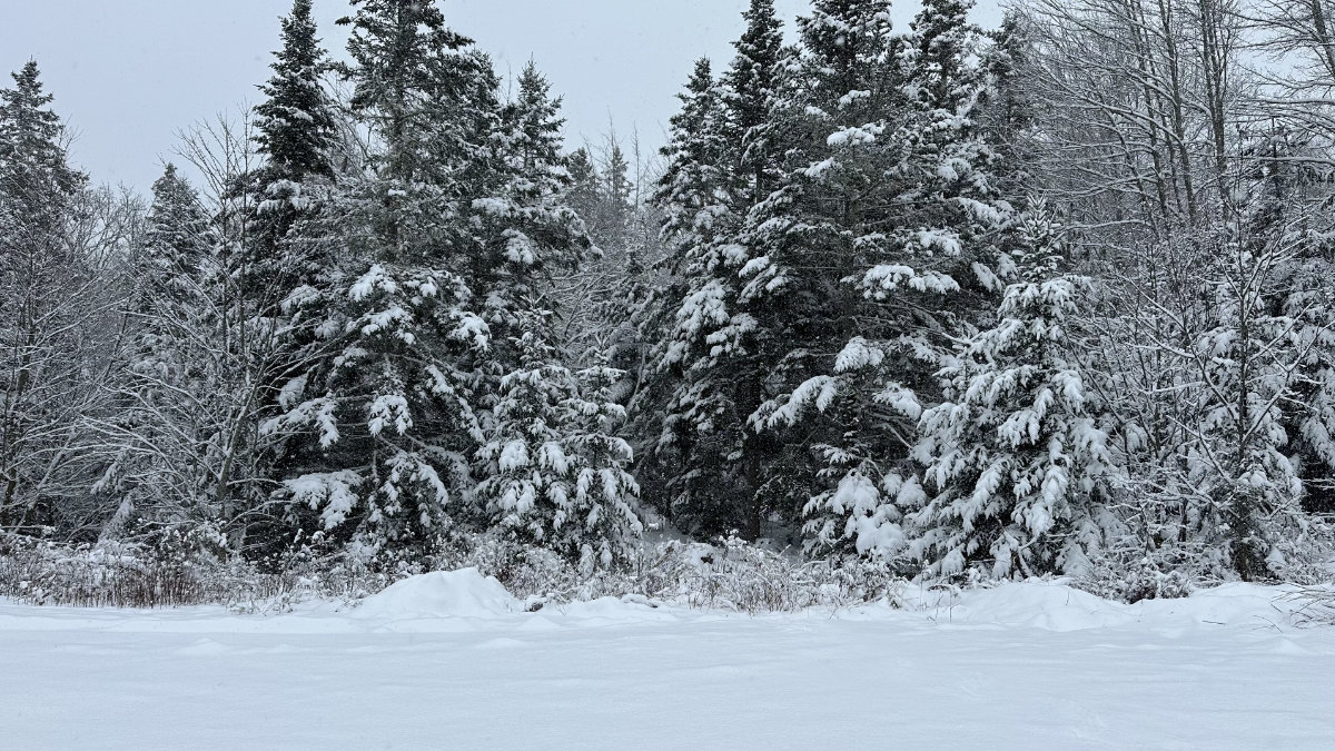 a snowy christmas eve