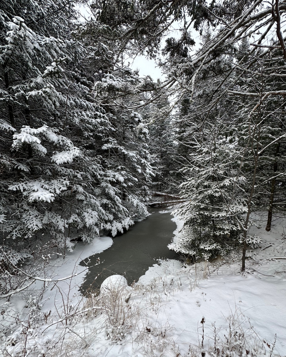 frozen creek