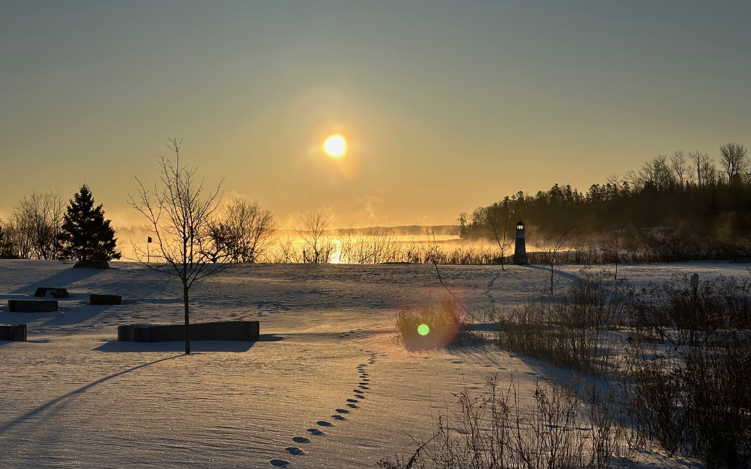 Winter Morning Sun