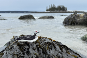 pacific loon felt ornament