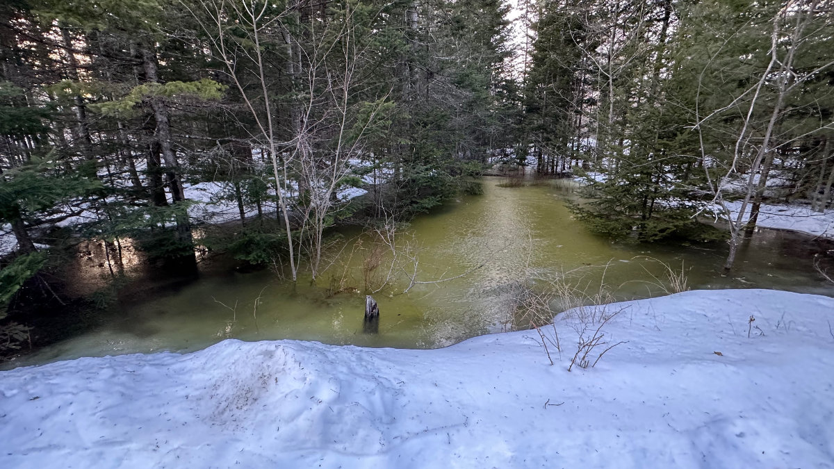 flooded pond